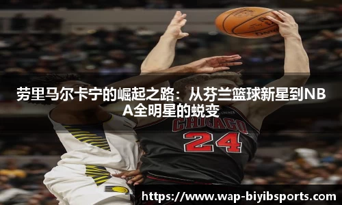 必一运动b体育官网